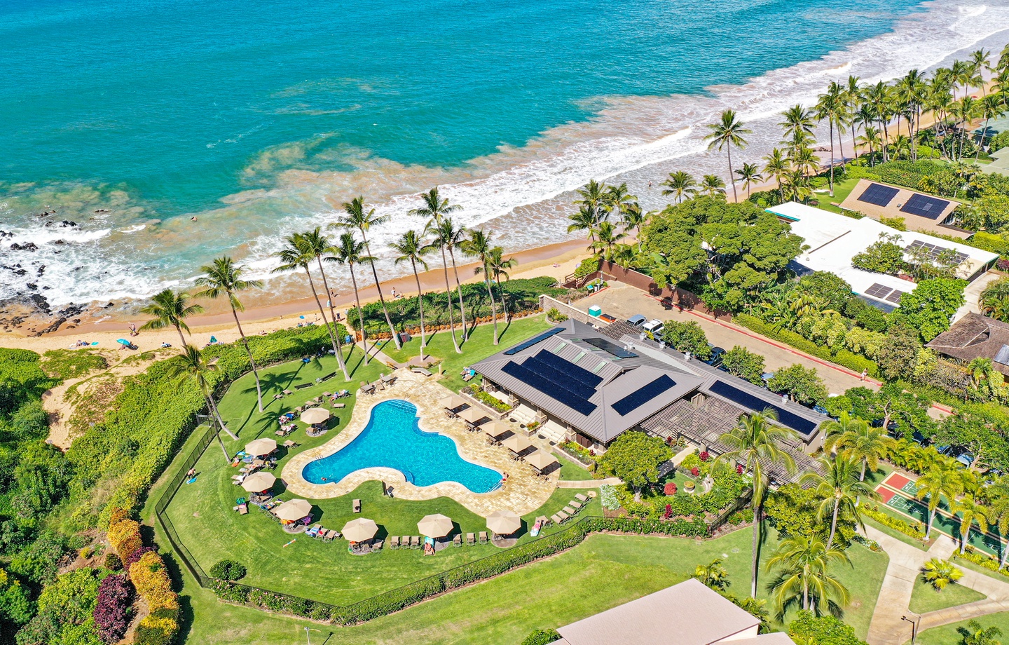 Oceanfront swimming pool with palm trees at Wailea Ekahi