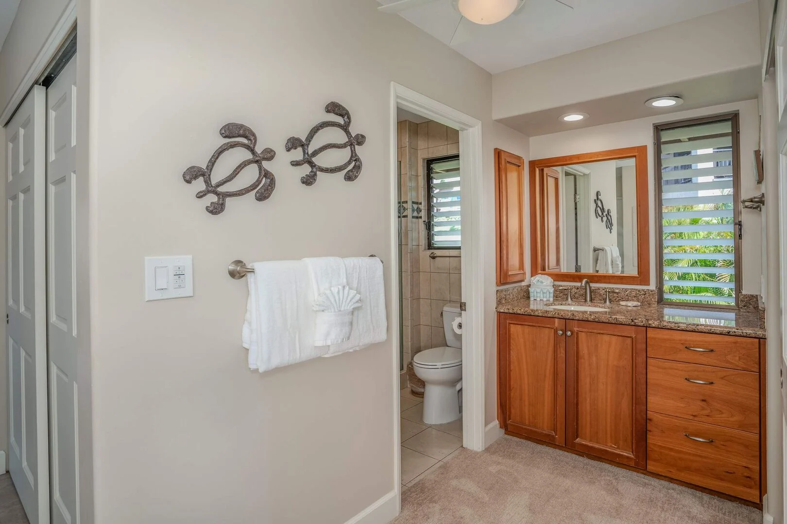 Bathroom vanity with granite counter and separate toilet and shower room