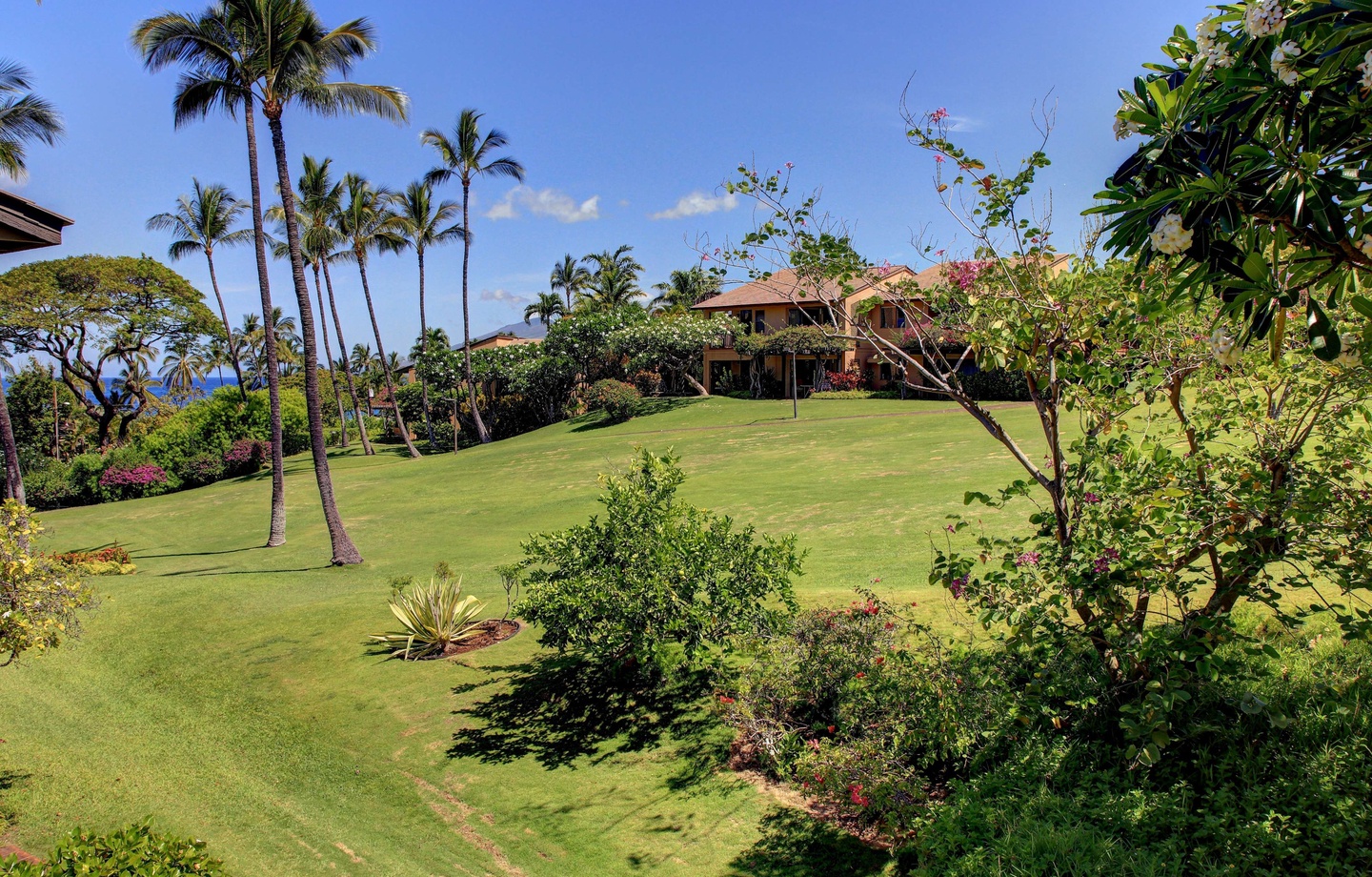 Manicured lawns, palms, and flowering trees on the Wailea Ekahi grounds
